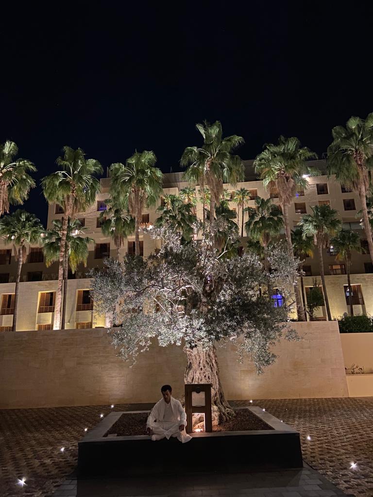 Tree image